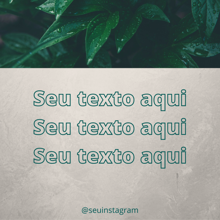 Pack Flores e Plantas Feed (1)