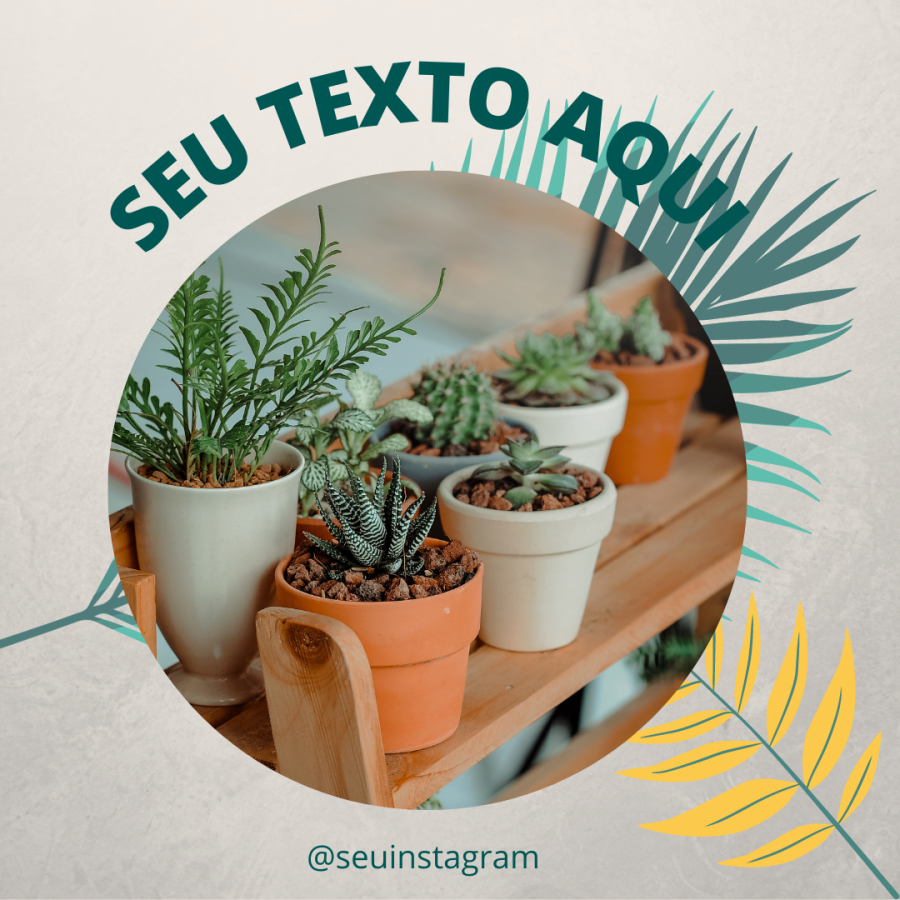 Pack Flores e Plantas Feed (2)