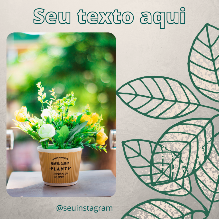 Pack Flores e Plantas Feed (3)