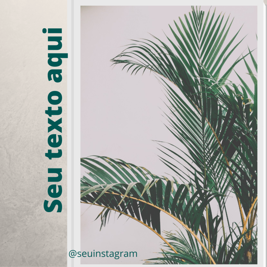 Pack Flores e Plantas Feed